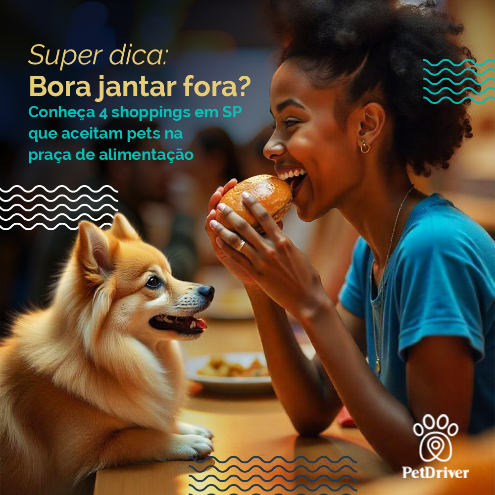 Jantar com sua melhor cãopanhia!