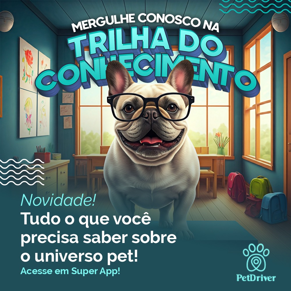 Sua rotina com o peludo agora ficou muito mais prática!