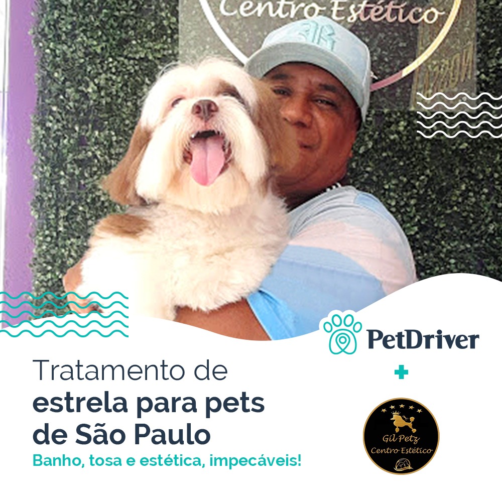 São Paulo possui um centro estético só para eles!