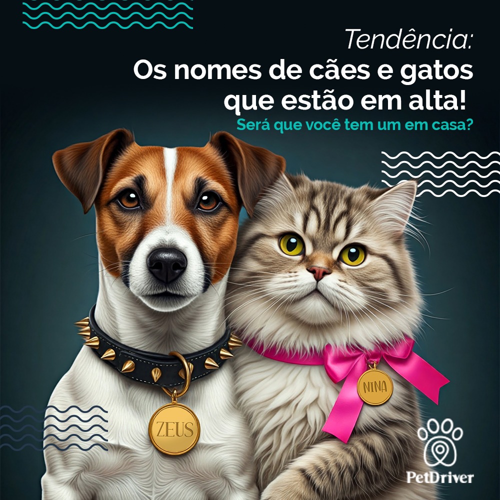 Pet novo na área e não sabe que nome escolher?