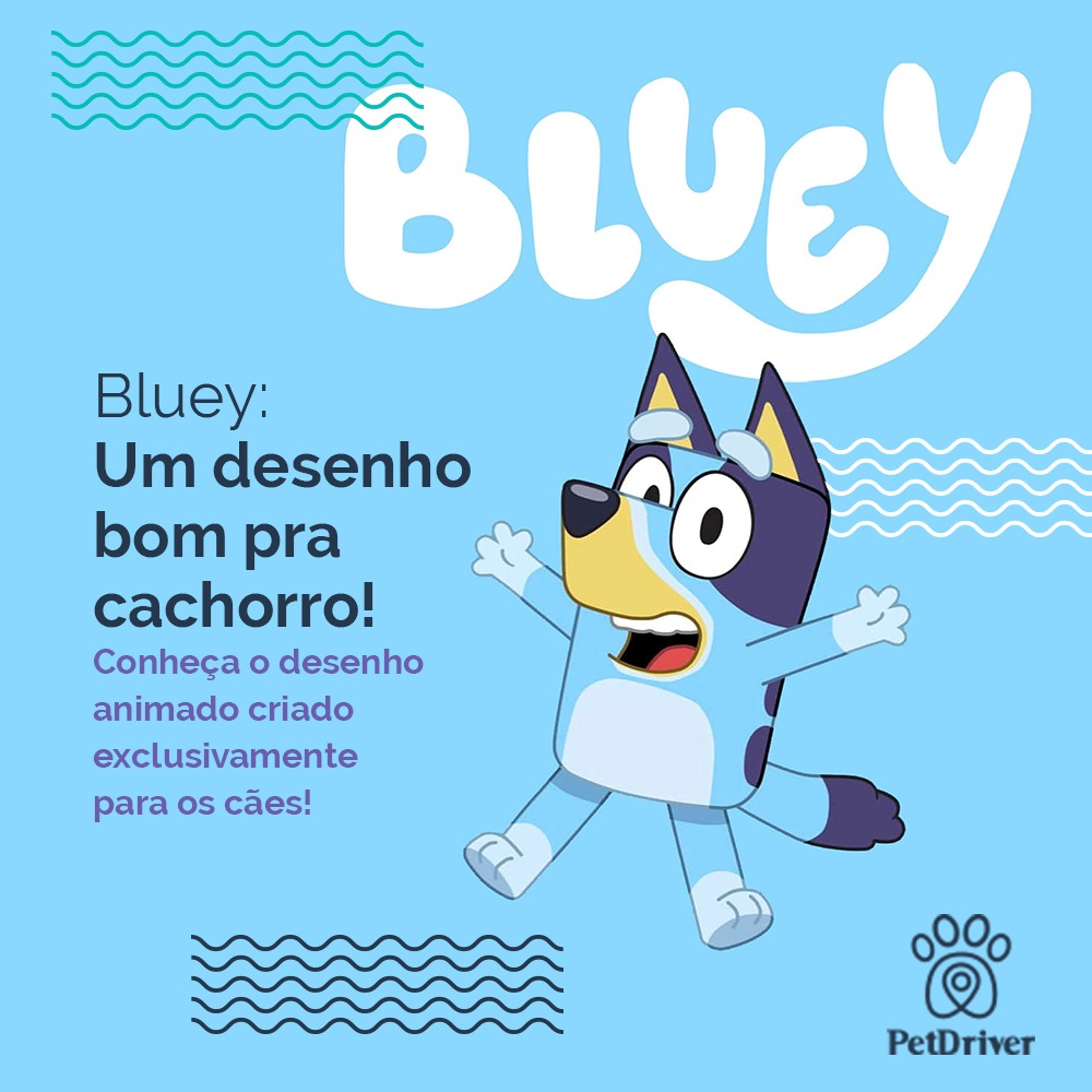 Um desenho bom pra cachorro!