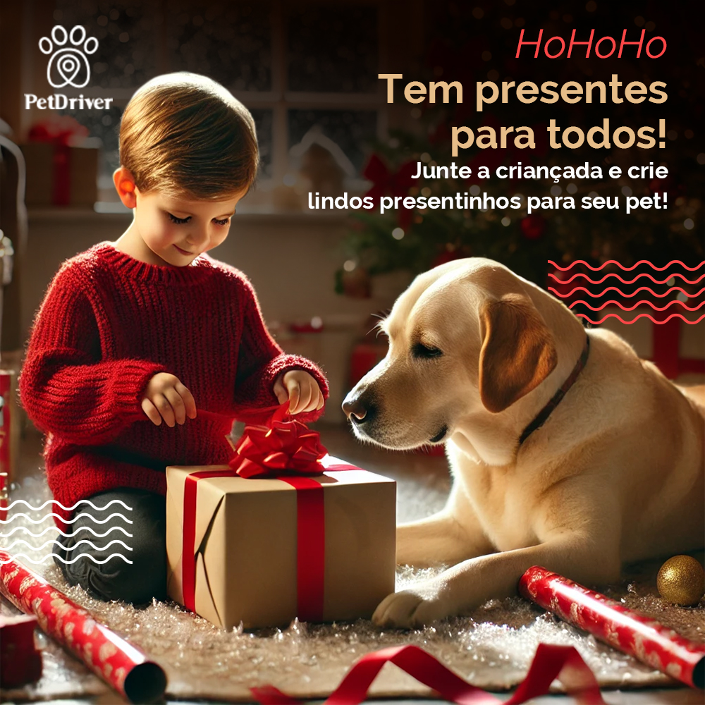 Bora criar um momento mágico em casa?