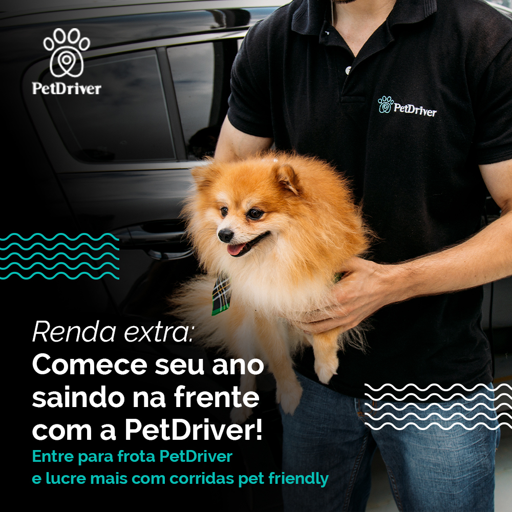 Ganhe uma renda extra em 2025 como motorista parceiro da PetDriver