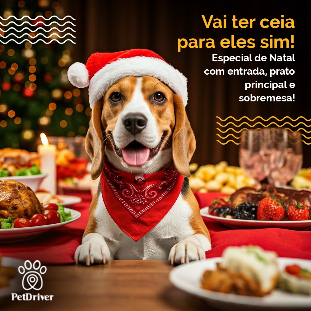  Ceia completa para os peludos da casa!