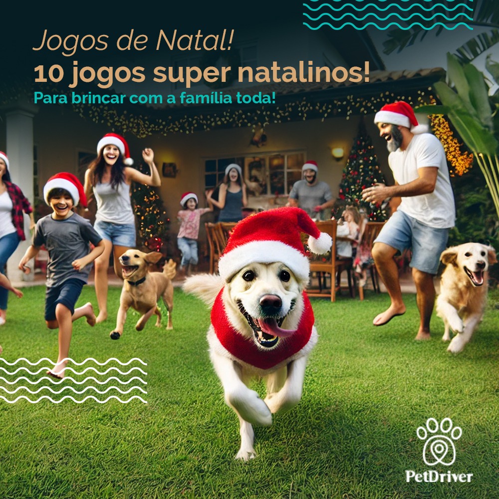 Bora agitar o dia de natal?