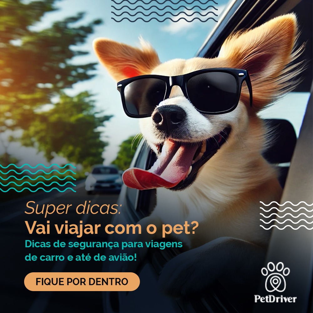 Vai viajar com o pet? Então pega essas dicas!