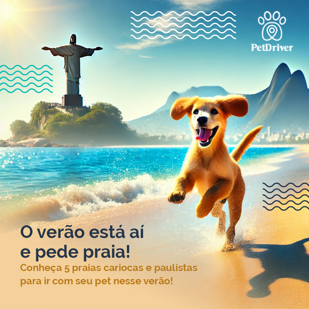 E aí? Bora pra praia juntos?