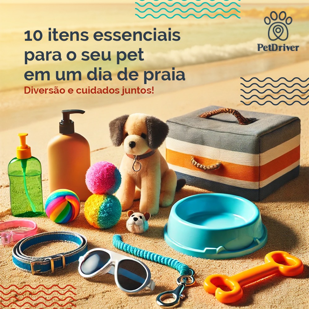  Peludo na praia? Então pega essas dicas!