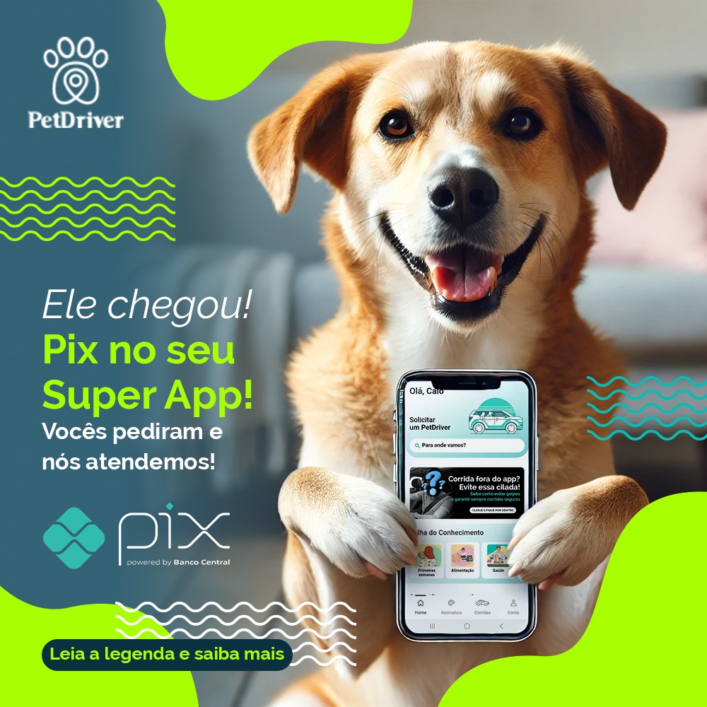 Ele Chegou! Pague suas corridas no Pix!