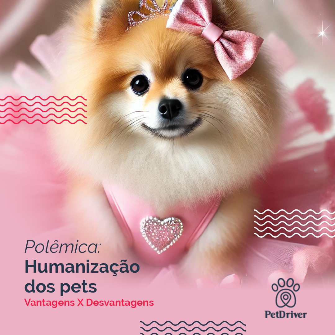 Membros da família? Com certeza! Mas até onde vai esse tratamento?