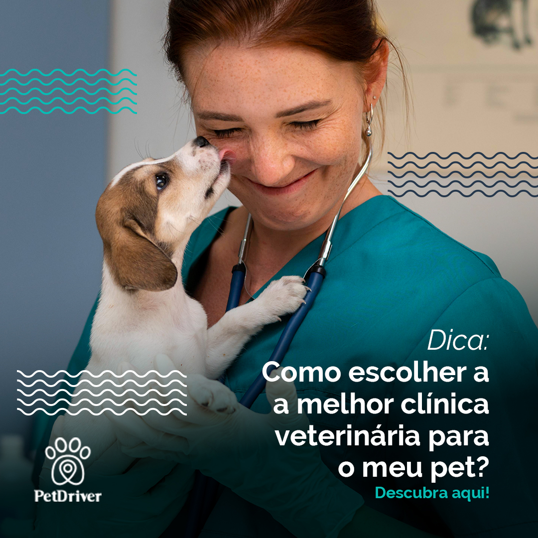 Além de amor, seu pet precisa de saúde!