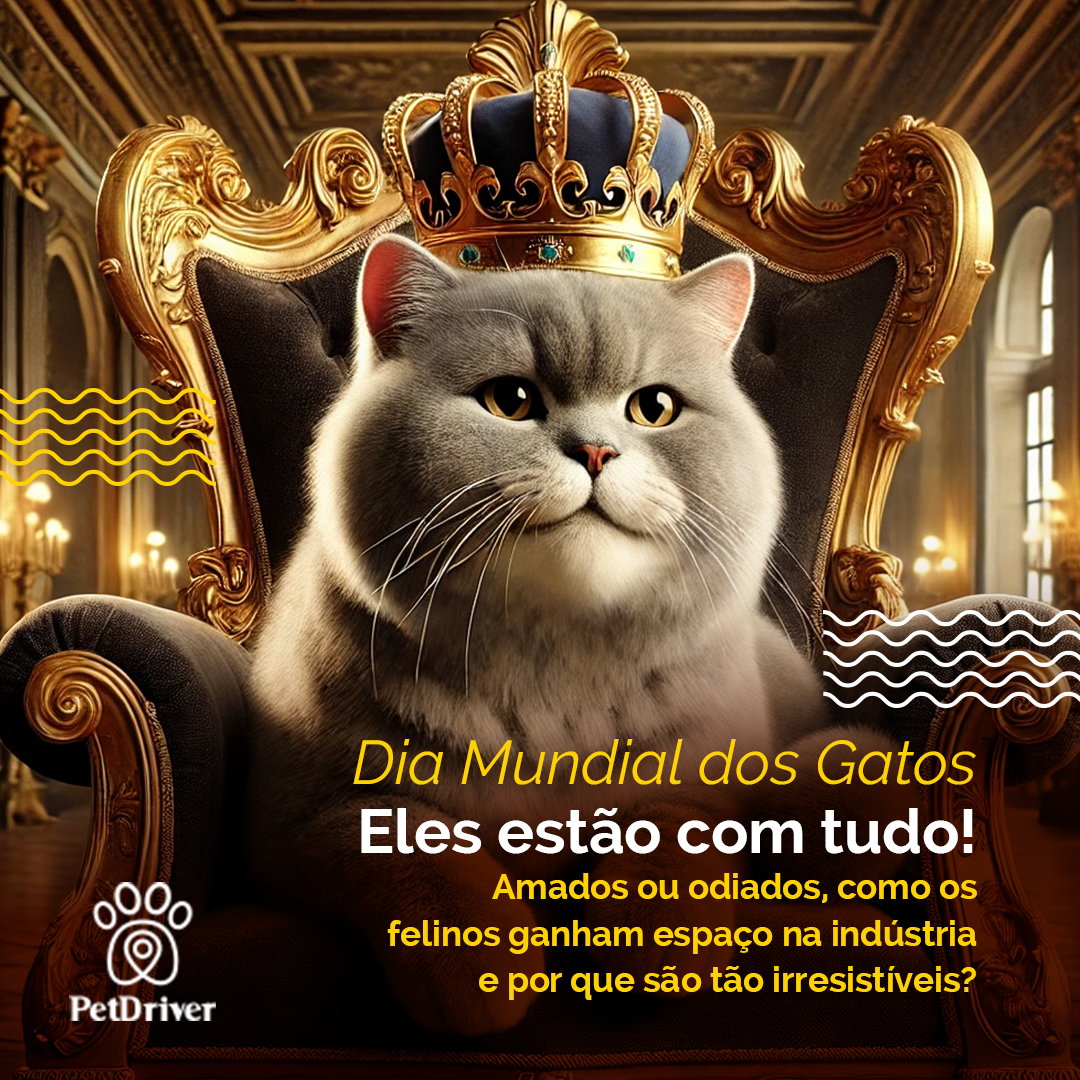 O reinado felino e o mercado bilionário dos bigodes