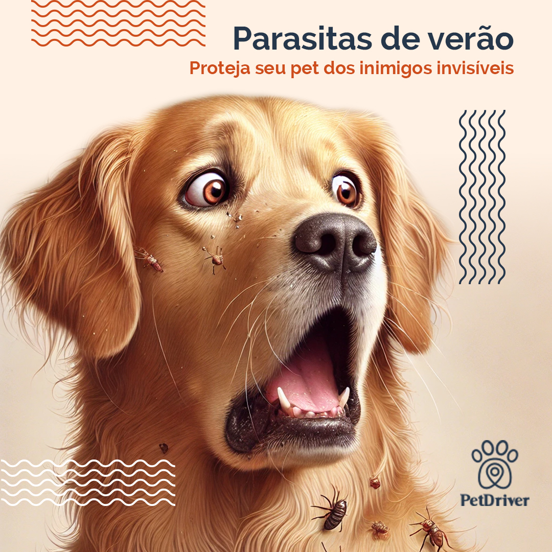 Cuidado! Época de proliferação de parasitas!