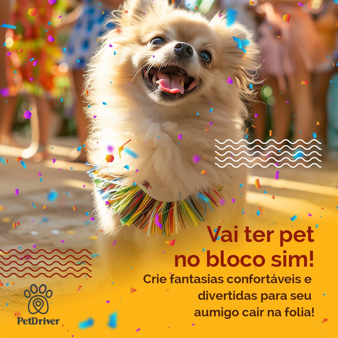 Vem aí o bloquinho dos peludos festeiros!!!