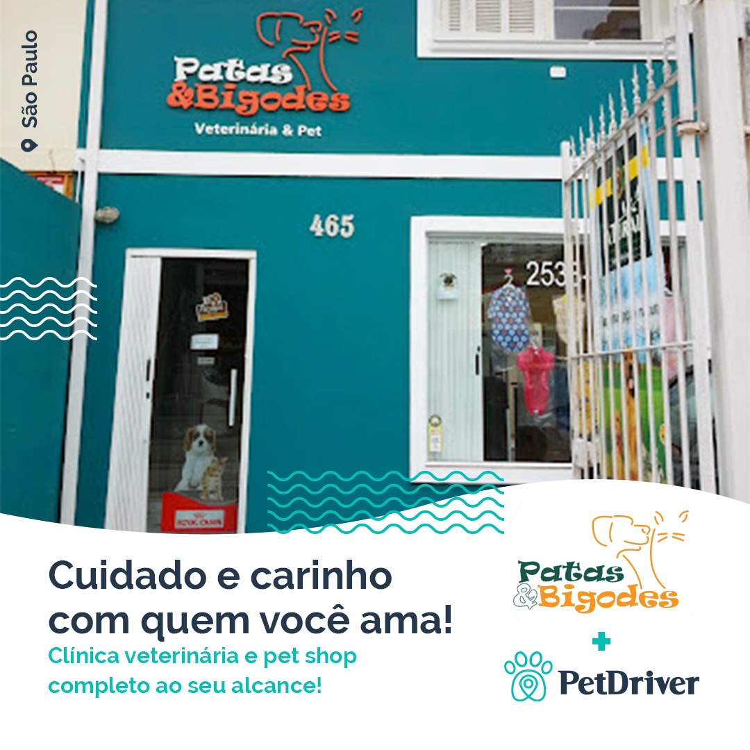 Santo Amaro, mais saúde para o seu pet é aqui!