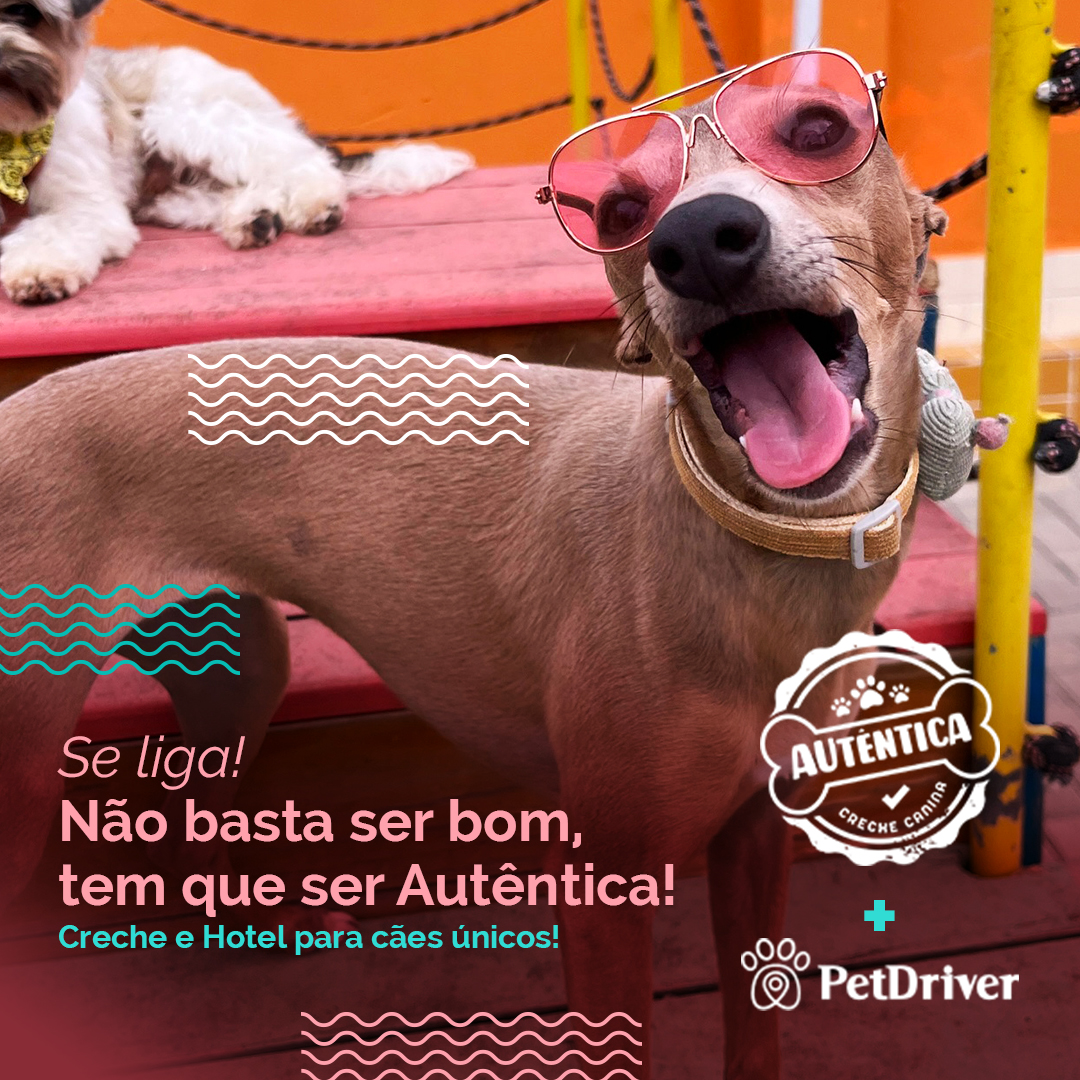 Não basta ser bom, tem que ser Autêntica!