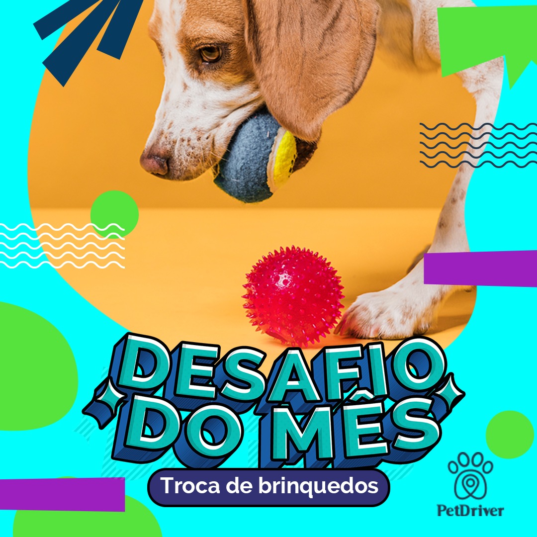 Hora do desafio, hora da brincadeira!