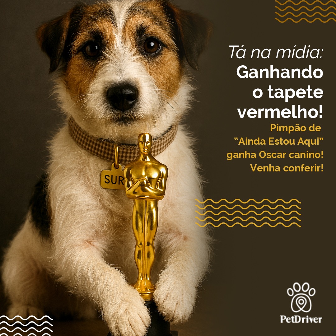 Ganhando o tapete vermelho!