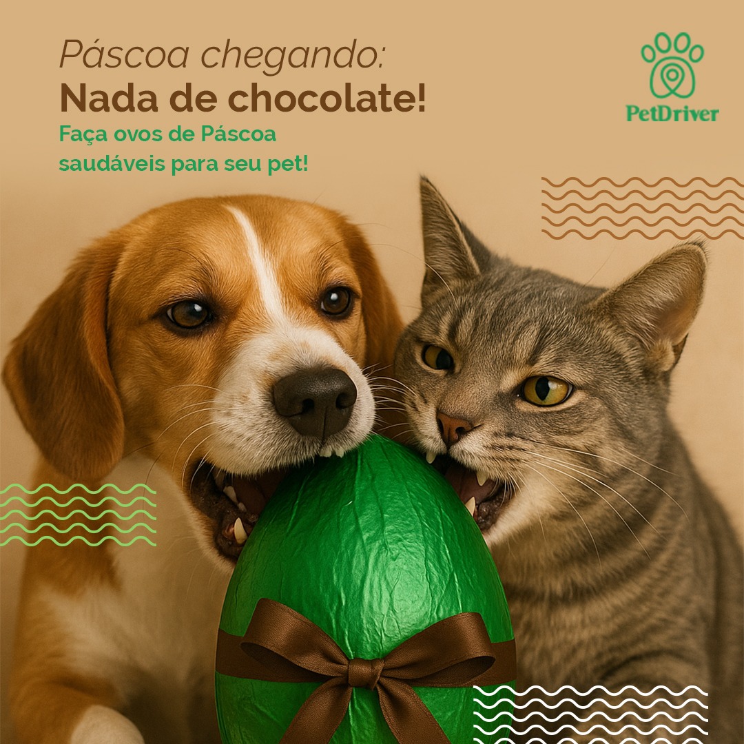 Chocolate não! Curta a Páscoa com o peludo de um jeito diferente!