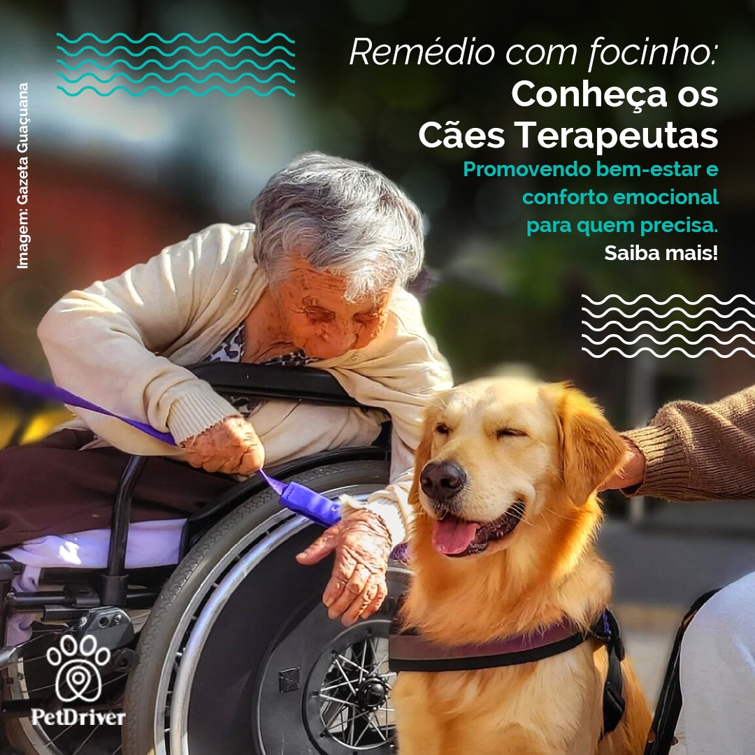 Um remédio com focinho e sem receita!