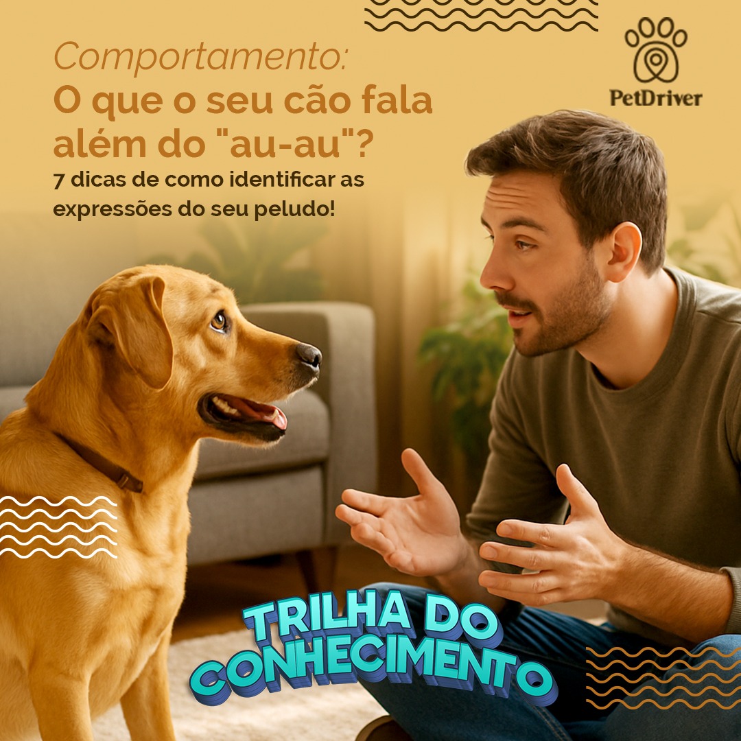 O "Au Au" não é tudo: Uma aventura na comunicação canina