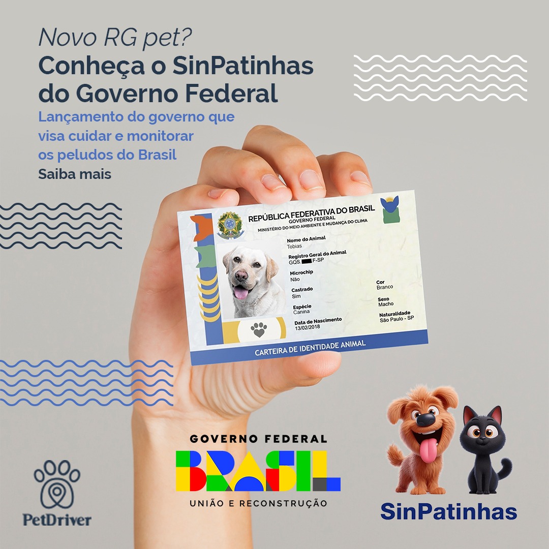 Novo RG pet no Brasil? Entenda