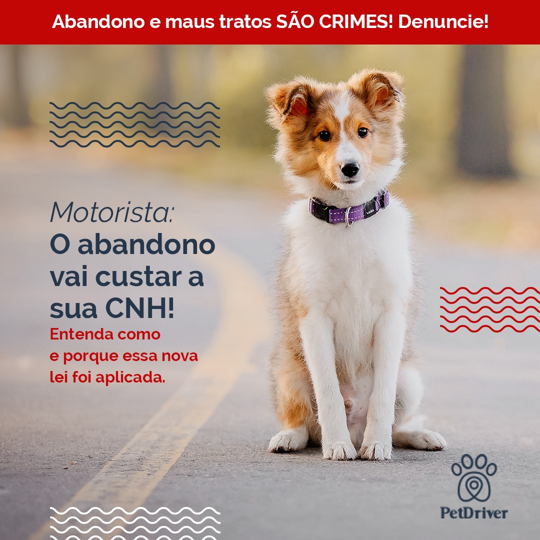 Causa e consequência! Abandono não é brincadeira